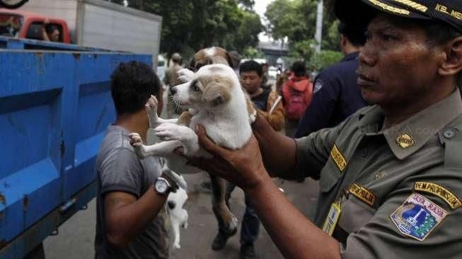 Yusup, Si Penjual Elang dan Kucing Hutan Akhirnya Dibekuk