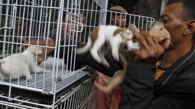 razia pedagang anjing dan kucing ilegal di jalan Latuharhari Jakarta, Kamis (9/4).