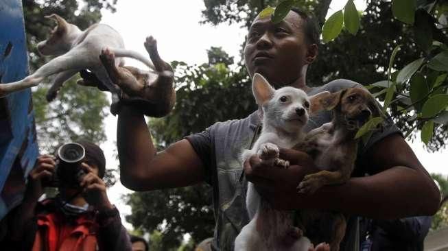 razia pedagang anjing dan kucing ilegal di jalan Latuharhari Jakarta, Kamis (9/4).