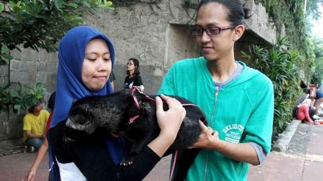 Sejumlah anggota komunitas Musang Lovers Indonesia tampil membawa hewan peliharaannya pada ajang Car Free Day (CFD) di Jalan Sudirman-Thamrin, Jakarta, Minggu (12/4/2015). [Suara.com/Oke Atmaja]