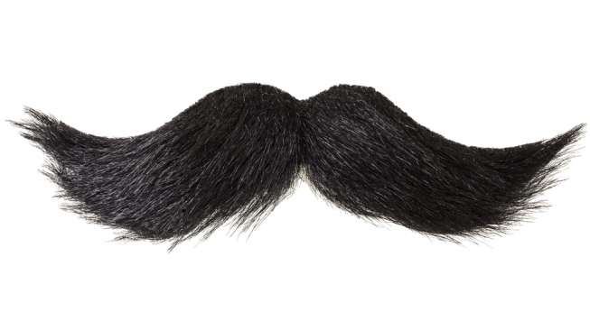 Mustache illustration (Shutterstock).