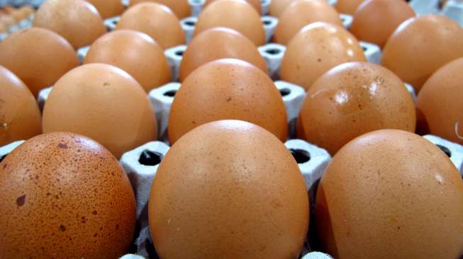 Fakta Di Balik 5 Mitos Soal Telur Yang Masih Kita Percaya Apa Saja