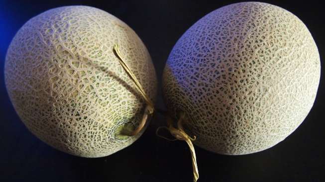 Ilustrasi melon Yubari. (Shutterstock)