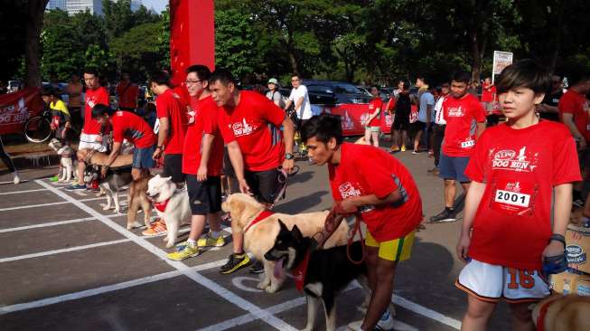 Ratusan Anjing Lomba Lari di Senayan