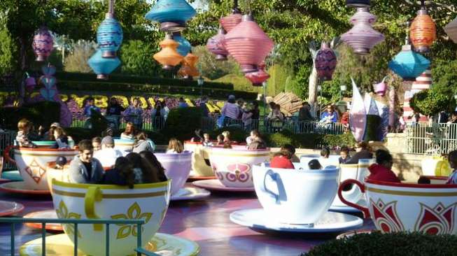 Rahasia Mengejutkan Disneyland yang Belum Diketahui Orang