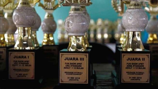 Ratusan anjing jenis pitbull se-Jawa dan Bali mengikuti turnamen ketangkasan bertajuk 'Brigade Pitbull Championship' di kawasan Cibubur, Minggu (31/5/2015). [Suara.com/Kurniawan Mas'ud]