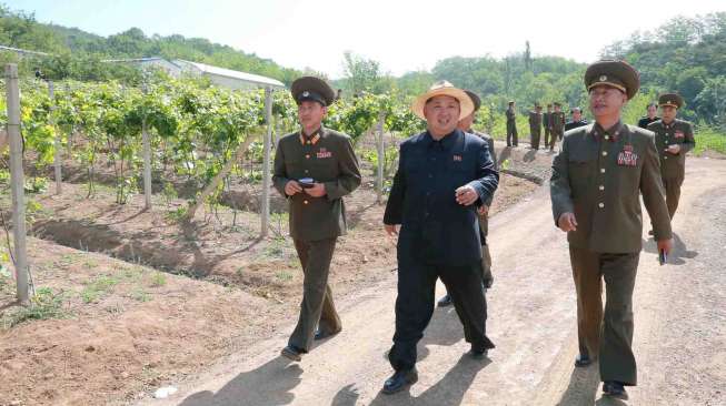 Kim Jong Un Kunjungi Ladang Pertanian