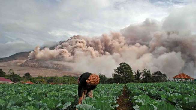 Pemerintah Kabupaten Karo tetap menghimbau pada seluruh warga di lingkaran Gunung Sinabung untuk waspada dan tidak beraktivitas di radius 7 km.