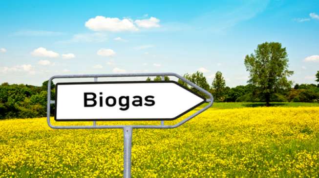 Pemprov Jateng Salurkan 270 Digester Biogas, Dorong Desa Mandiri Energi