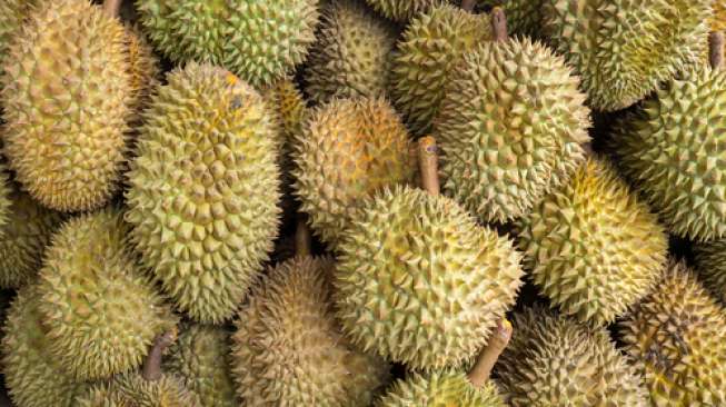 Tips Memilih Durian yang Tepat