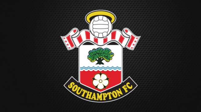 Ikuti Jejak Newcastle, Southampton Dibeli Miliarder Serbia