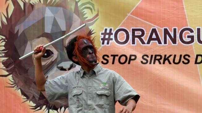 Mereka menuntut pemerintah untuk menghentikan Eksploitasi Orangutan sebagai sirkus dan properti foto.