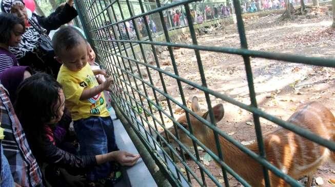 Berlibur di Ragunan