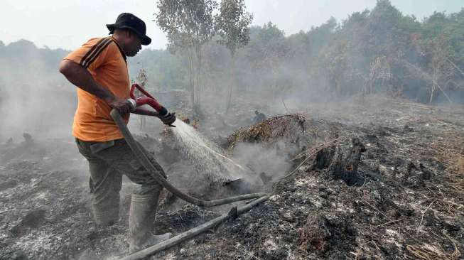 Kebakaran Lahan di Jambi