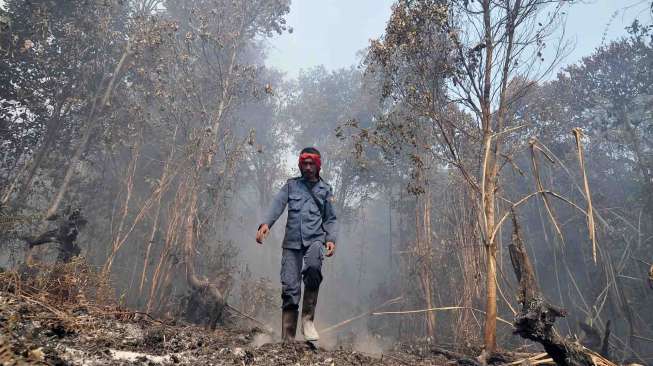 Kebakaran Lahan di Jambi