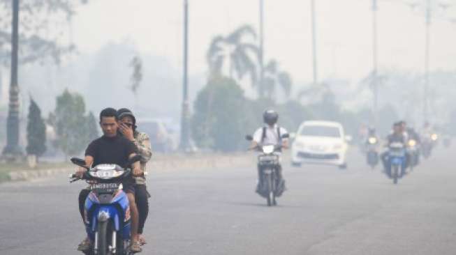 Pekanbaru Berkabut, BMKG Sebut Bukan dari Asap Karhutla