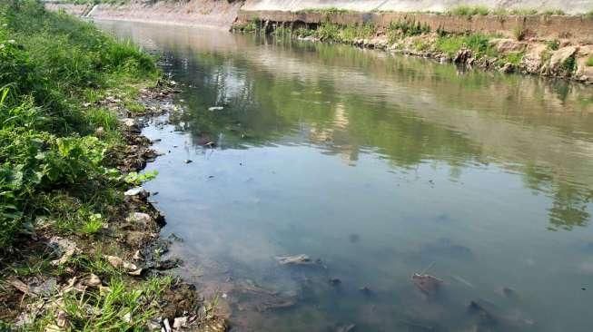 Sungai Ciliwung Mengering