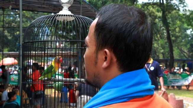 5 Cara Melatih Lovebird