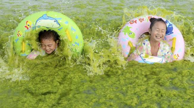 Wisatawan memadati sebuah pantai yang diselimuti lapisan ganggang hijau di Qingdao, Provinsi Shandong, Cina, (24/7)