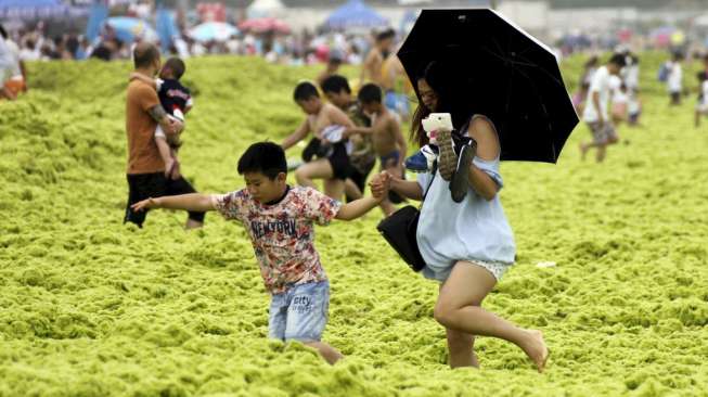 Wisatawan memadati sebuah pantai yang diselimuti lapisan ganggang hijau di Qingdao, Provinsi Shandong, Cina, (24/7)