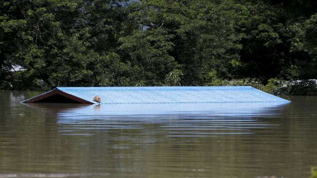 Puluhan orang tewas diterjang banjir di Myanmar