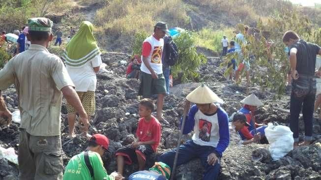 Warga Berebut Gali Sawah Cari Mani Gajah Bernilai Puluhan Juta