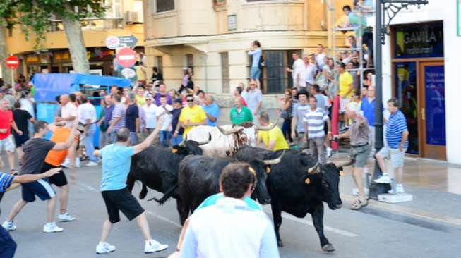 Festival Lomba Lari Banteng di Spanyol: 3 Pelari Ditanduk, 6 Pelari Dibawa ke RS