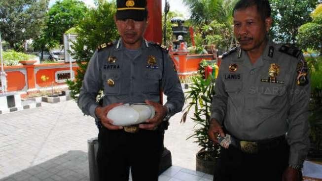 1.515 Kulit Kerang Langka Disita, Ini Penjelasan Pemiliknya