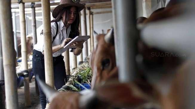 Kehadiran para wanita di kandang sapi tersebut untuk melayani pembeli membantu memilih hewan kurban.