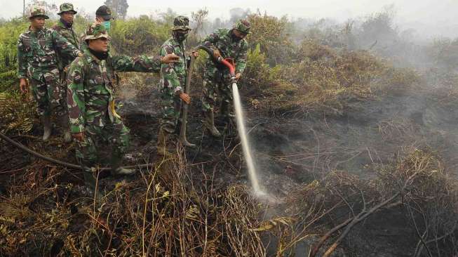 Peneliti Perkenalkan Teknologi Peringatan Dini Kebakaran Gambut