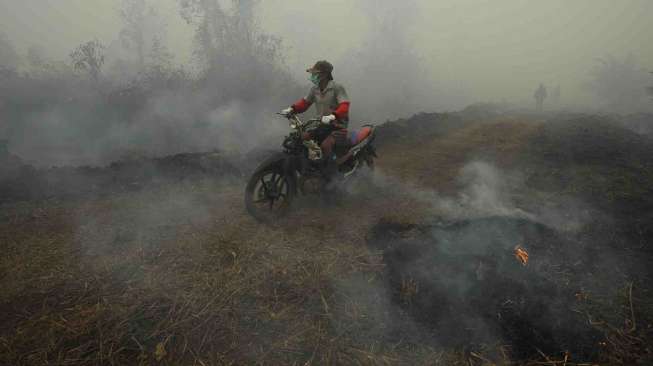 Kasus Pembakaran Hutan, Polri Selidik Tiga Perusahaan Perkebunan