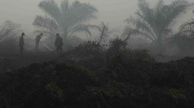 Singapura Sambut Baik Rencana Moratorium Izin Kebun Kelapa Sawit