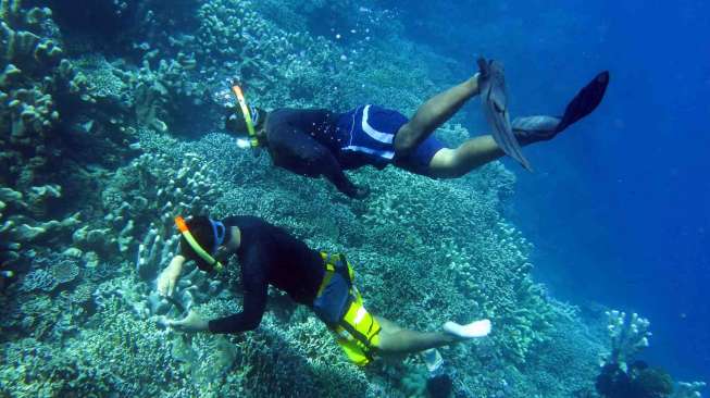 Bersihkan Taman Laut