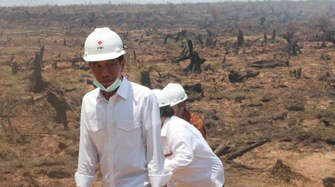 Jokowi Tinjau Lokasi Kebakaran Lahan