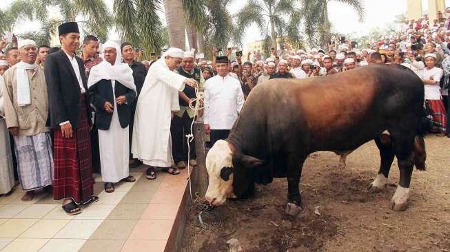 jokowi Salat Id di Martapura