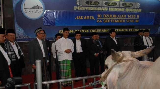 Serahkan Sapi Kurban 1,3 Ton