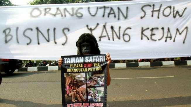 Mendesak pemerintah untuk segera melarang pertunjukan orangutan di Taman Safari Indonesia.