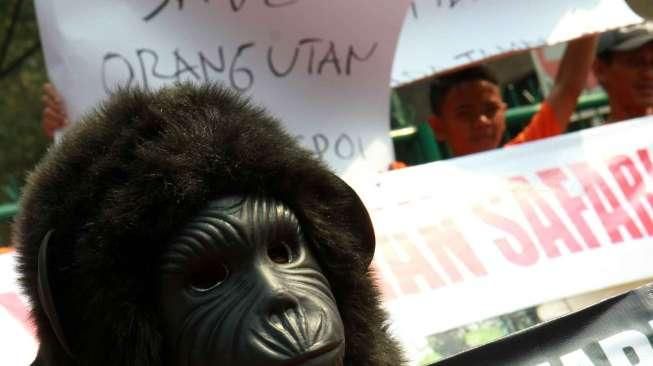 Stop Ekspolitasi Orangutan