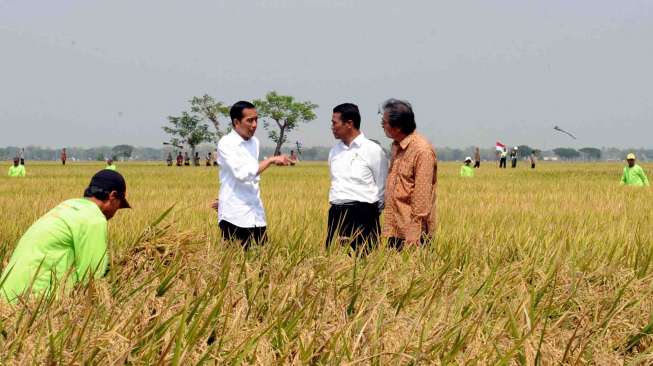 Indonesia Perlu Teknologi Agar Petani Tak Terpengaruh La Nina