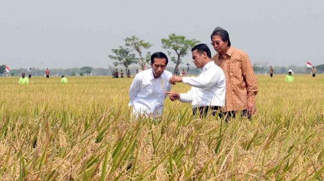 Kementan Tegaskan Produksi Beras Nasional Saat Ini Cukup