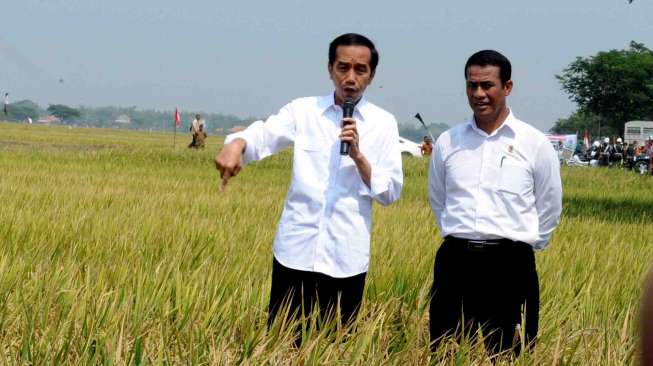 Disindir Presiden Jokowi, Ini Kata Mentan Andi Amran