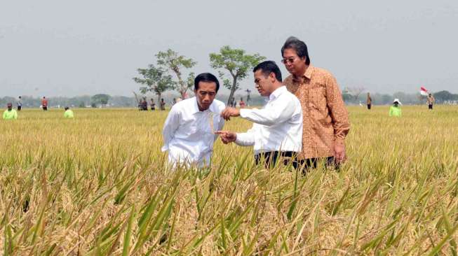 Kedatangan Jokowi di Sukoharjo bukan dalam rangka panen raya tapi memastikan mikrobia bisa hasilkan panen lebih banyak. 