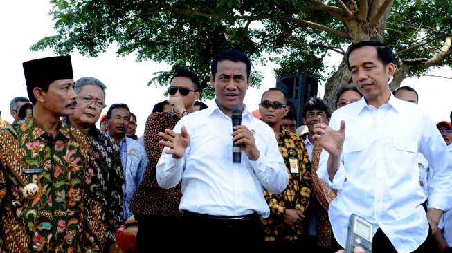 Jokowi Panen Padi di Sukoharjo