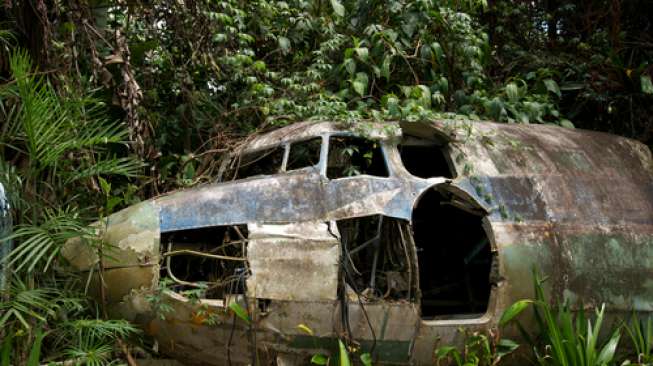 Tembak Pesawat Pembawa Babi di Nduga, OPM Tuding TNI-Polri Sengaja Bawa Virus Bikin Orang Asli Papua Mati Keracunan