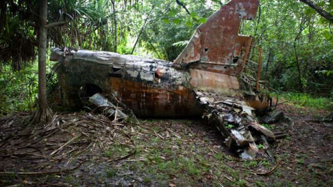 Puing Diduga MH370 Ditemukan dalam Hutan, Ini Jawaban Malaysia