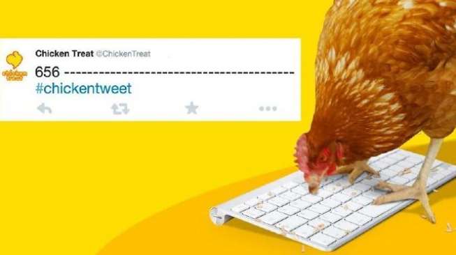 Tak Mau Kalah dengan Manusia, Ayam Ini Punya Akun Twitter