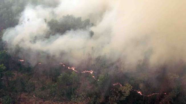 Kebakaran Lahan di Sumsel