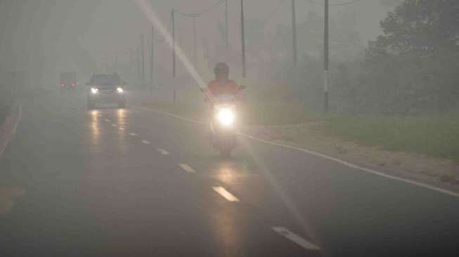 Kebakaran Lahan di Kalteng