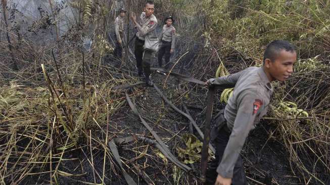 Kebakaran Lahan di Kalteng