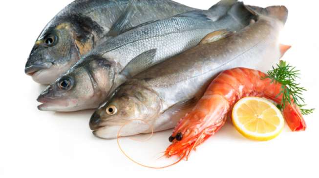 Ilustrasi seafood (shutterstock)